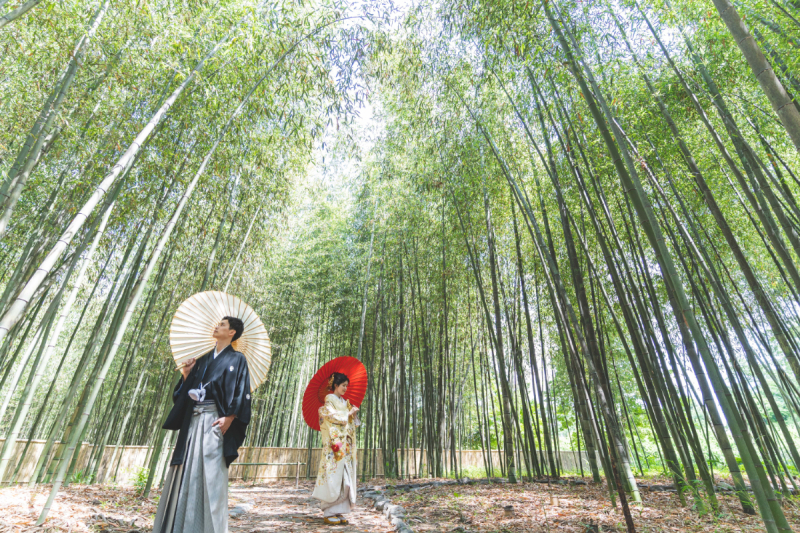 迫力のある竹林の中で