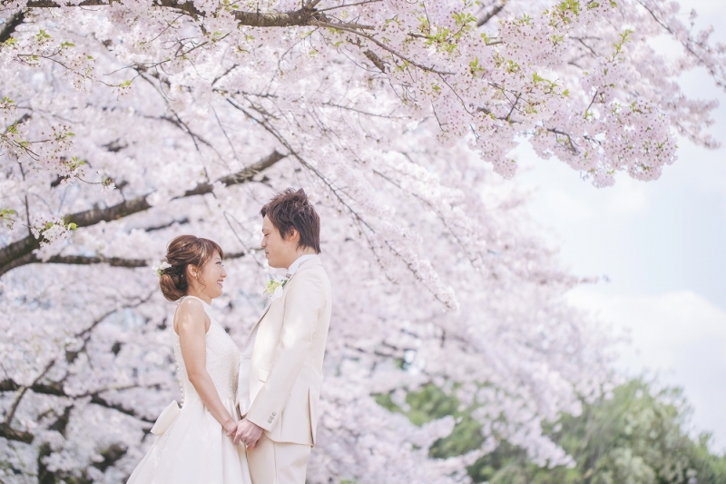 青空と桜