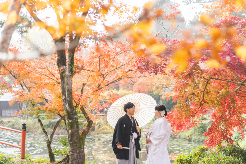 鮮やかな紅葉と柔らかな自然光に照らされて