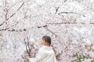植物園＆東山ロケーション＆スタジオフォト