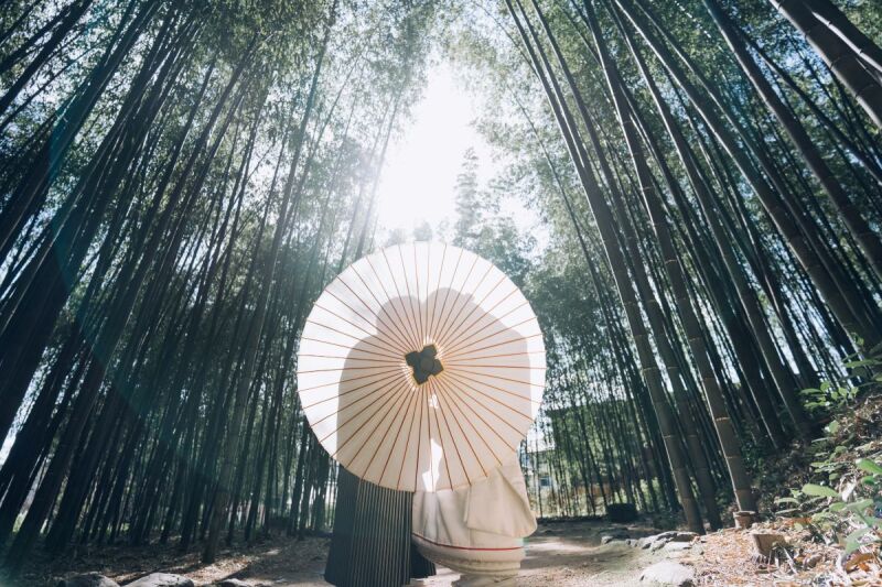 やさしく照らされた