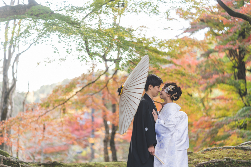 日本の和の心の中でキスシーンを