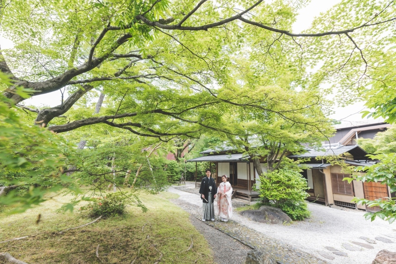 広大な日本庭園で