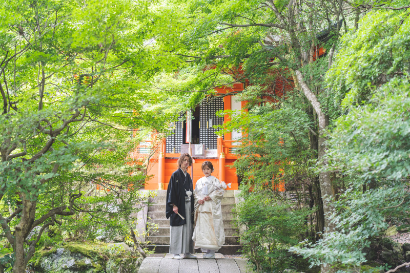 緑の木々の中で