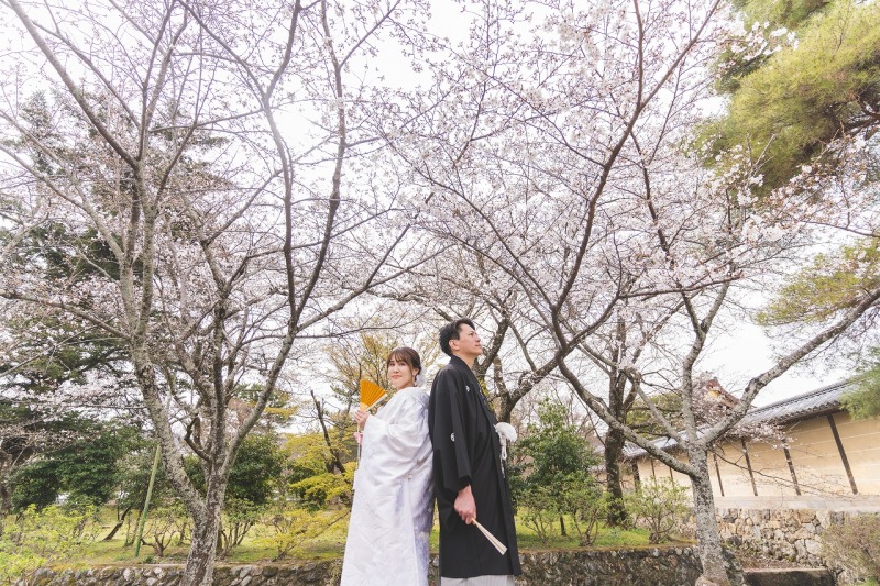 引きにお写真を