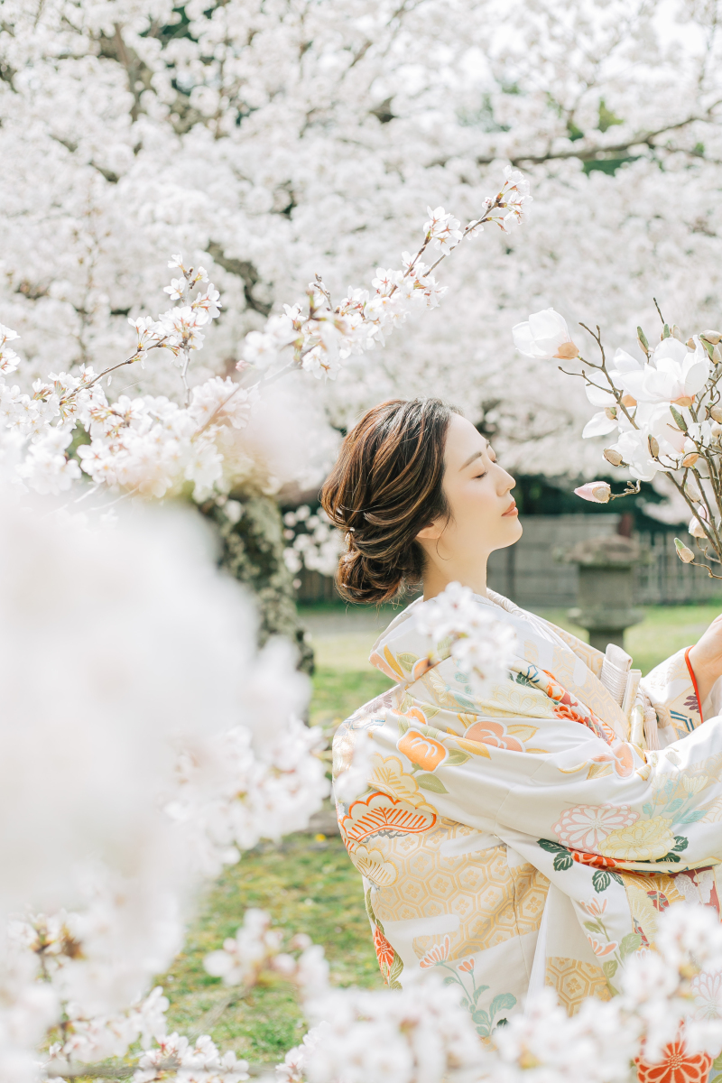 儚い桜たちとともに