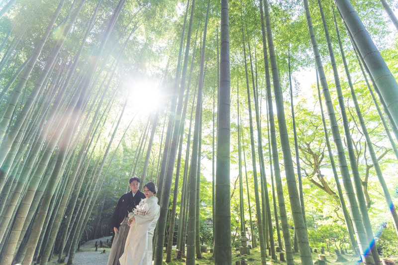 神秘的な自然光と