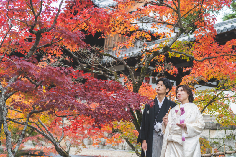 紅葉を眺めながら