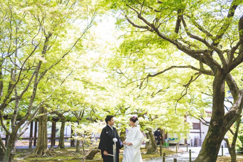 和と自然の美しさ