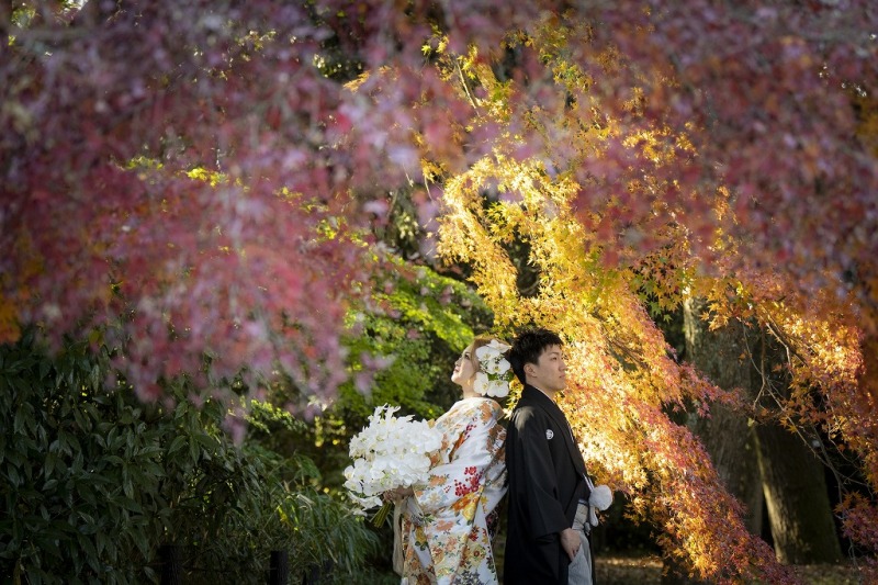色とりどりの風景