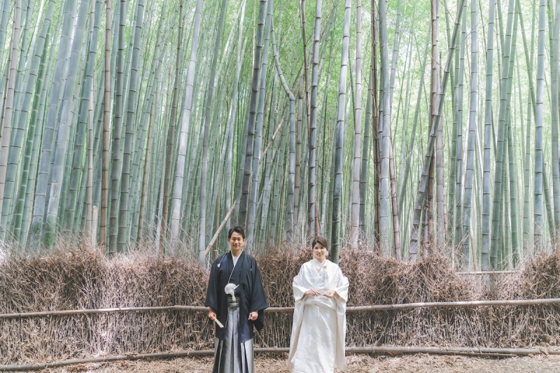 背丈よりも遥かに高い竹林の中で