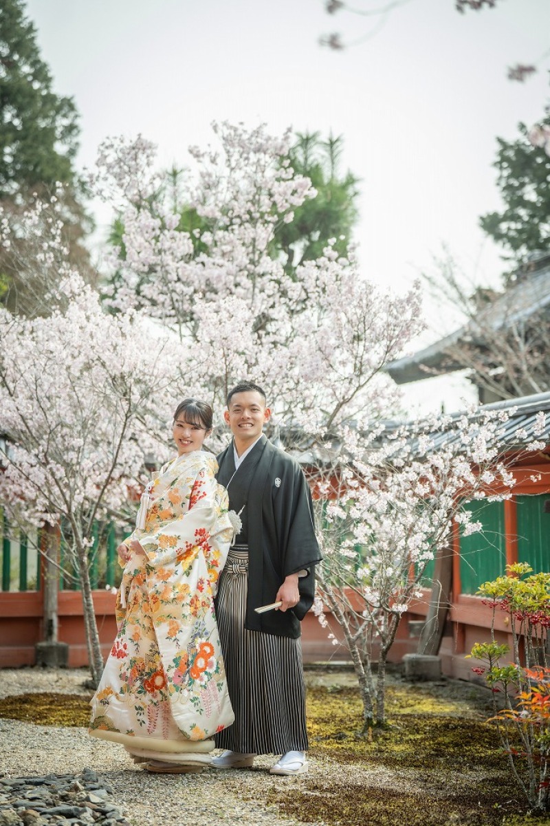 桜の木と