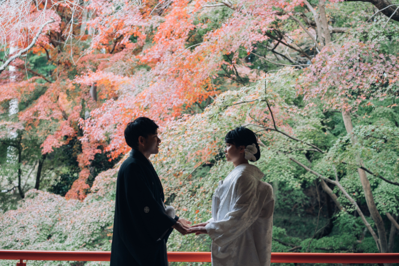 明るさの中に深みを持ったシルエットショット