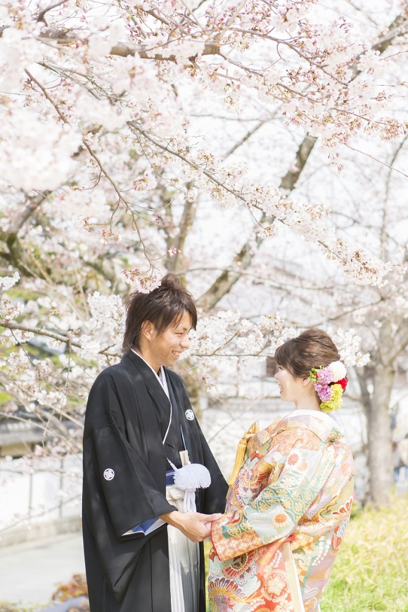 桜フォト八坂