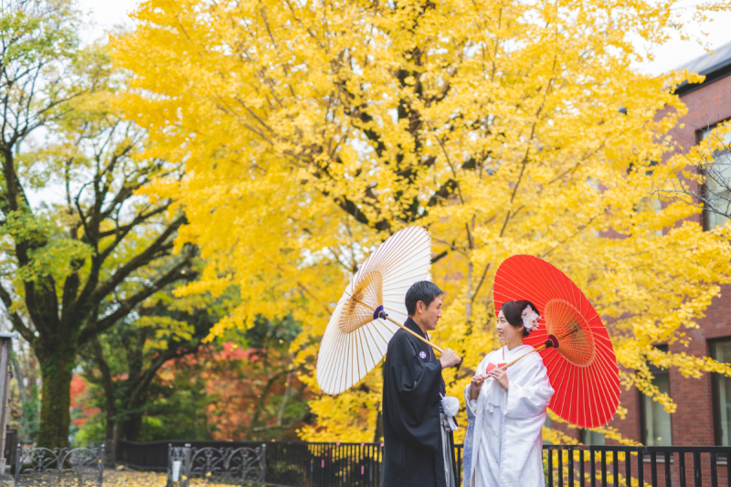 紅葉の黄色と紅白の番傘のコントラスト