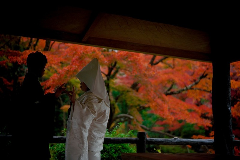 燃えるような赤色の