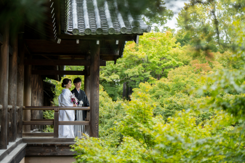 通天橋からは豊かな庭園を望む