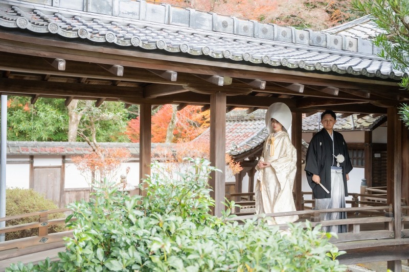 綿帽子を纏って