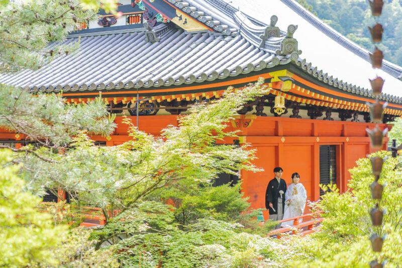 さわやかな景色