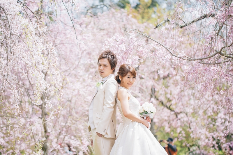 桜の中で