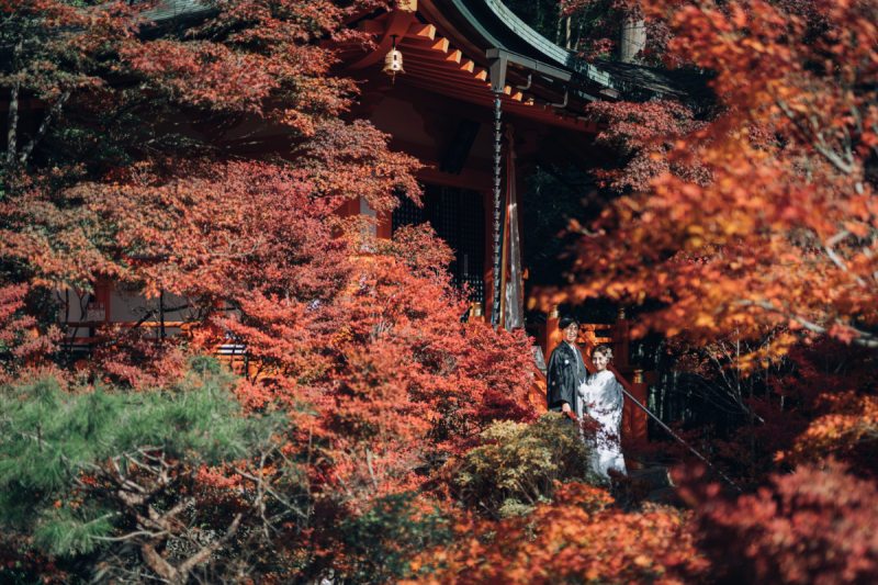 真っ赤に包まれた日本庭園