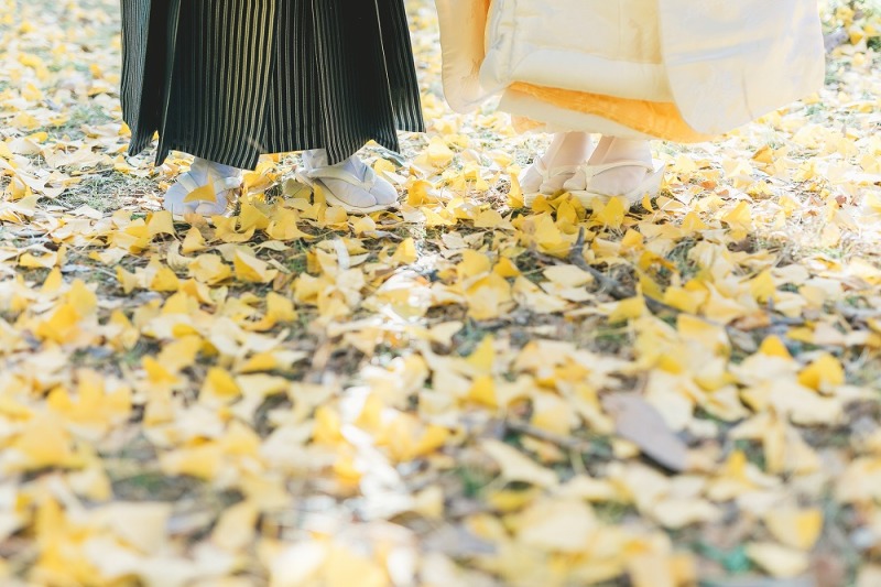 最後はイチョウの絨毯で