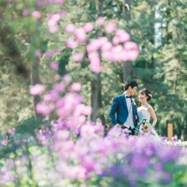 自然公園ならではの