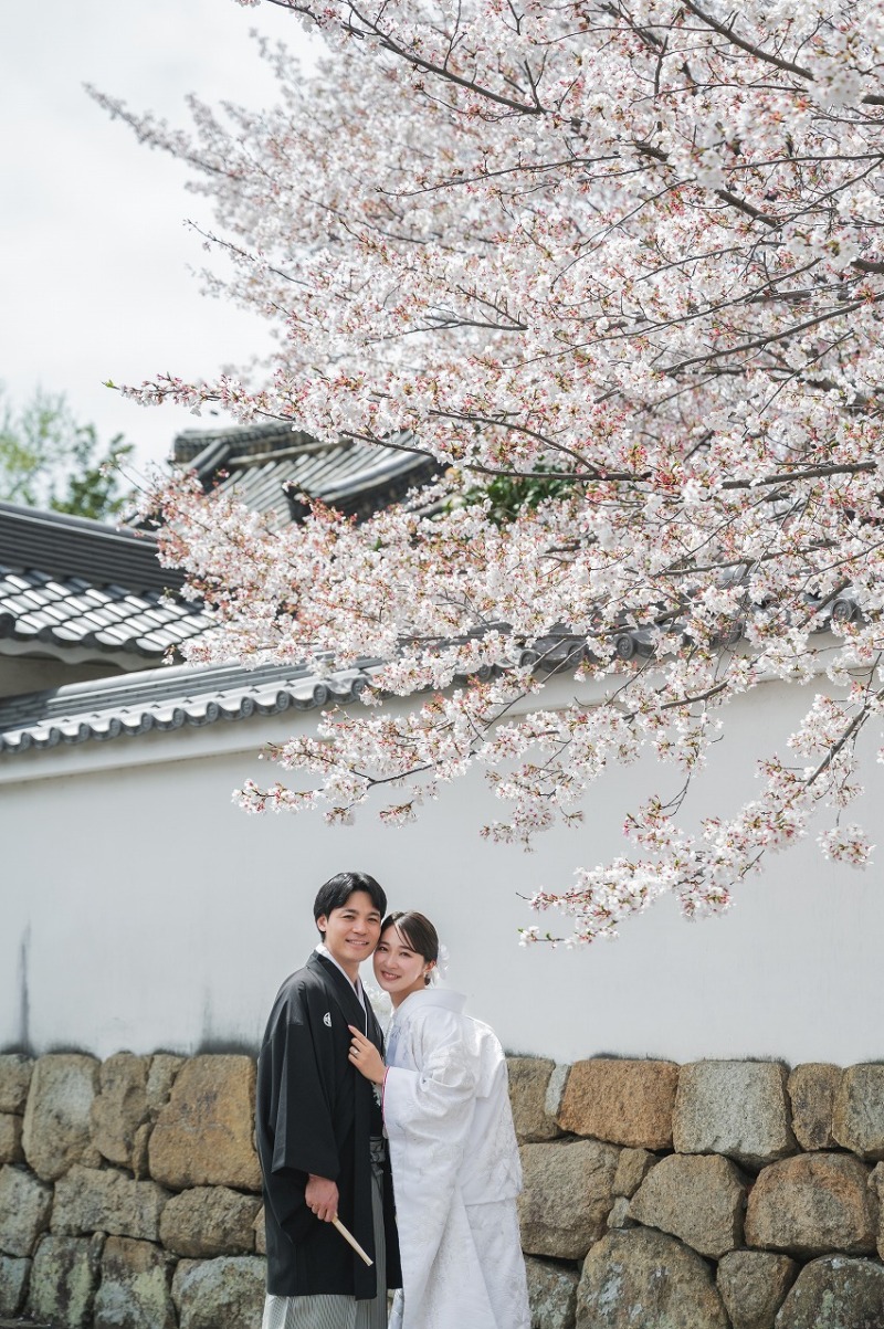 参道で桜と一緒に