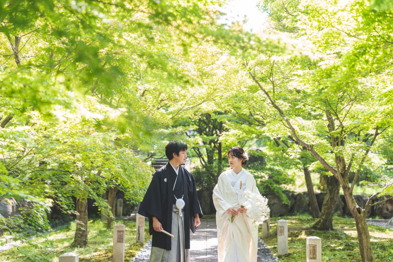 夏時期ならではの青紅葉と