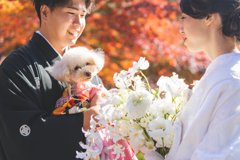 和装ロケーション×洋装スタジオフォト