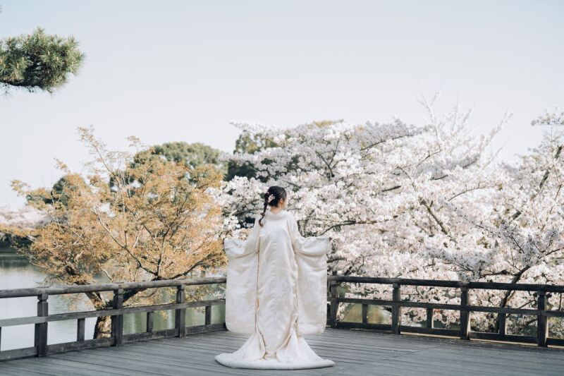 まるで鶴のよう