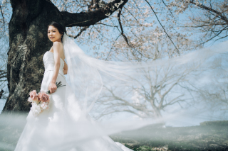 春の京都ロケーション～萬福寺～　洋装＆和装