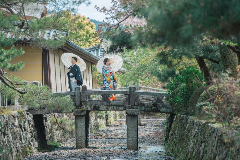 目を惹く白番傘