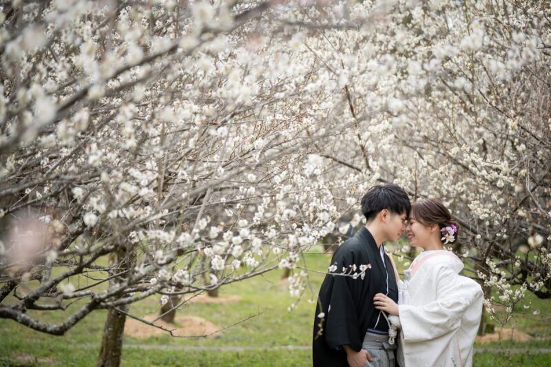 桜の木々の下で