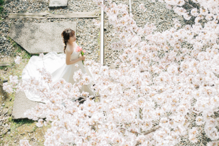 桜撮影♡インクラインロケーションフォト