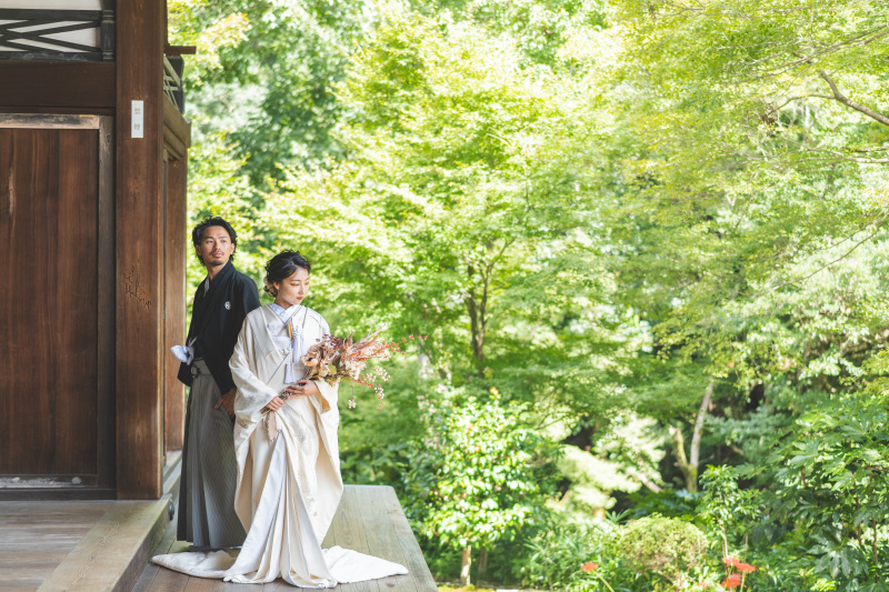 光に照らされた新緑を背景に