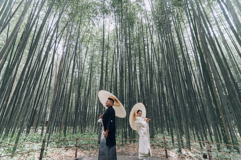 雄大に広がる竹林を照らす明かり