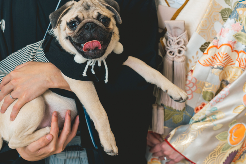 Point2 追加料金がある?ない?