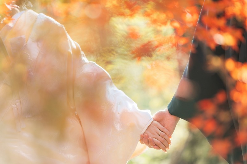 もみじから覗く