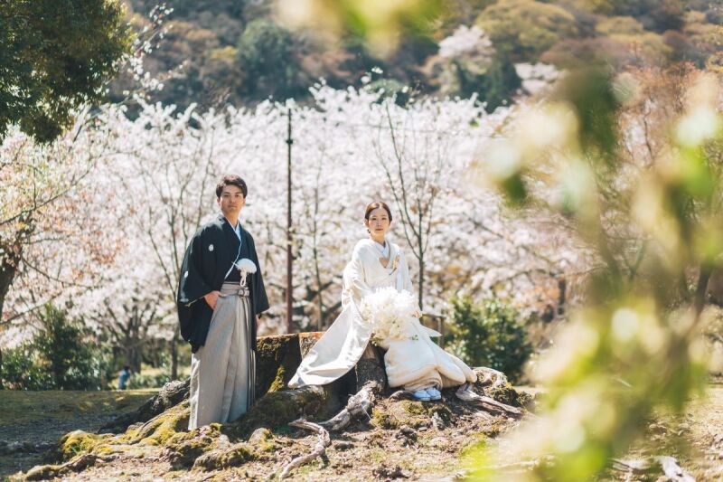 小株に腰かけて