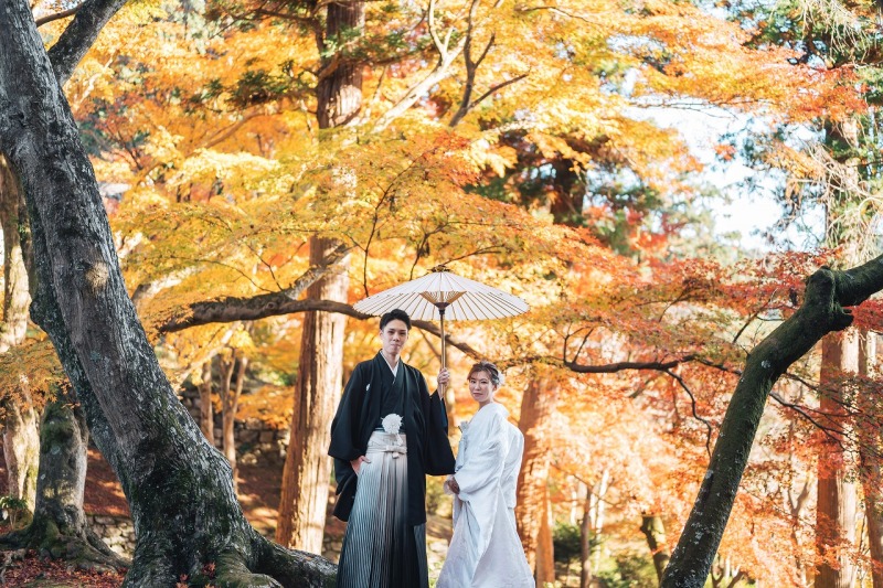 綺麗なグラデーションで壮大な一枚