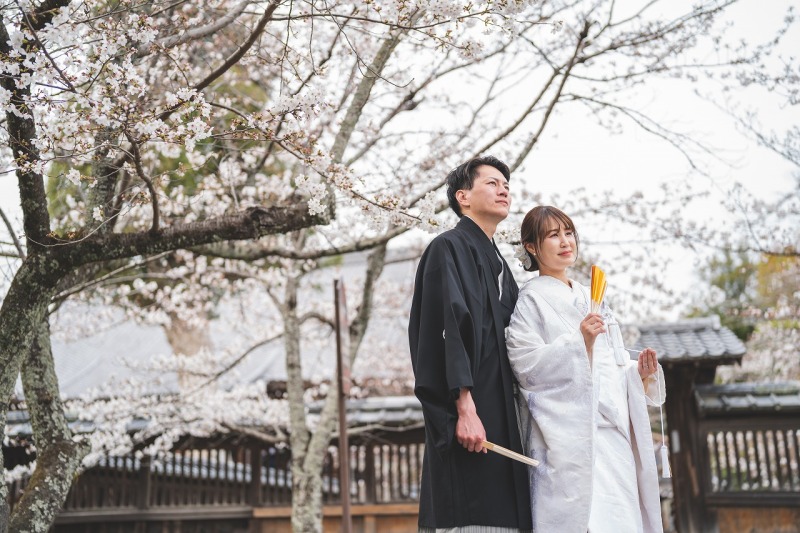 桜の木の下にて