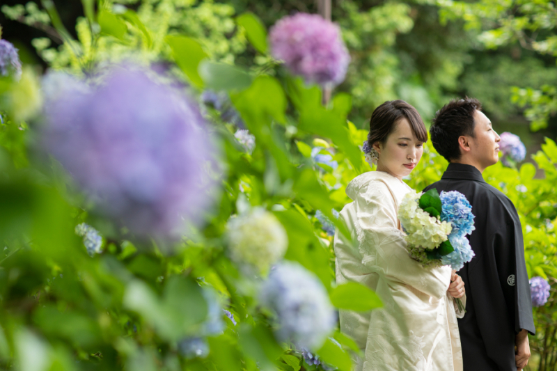 6月の象徴、紫陽花と共に