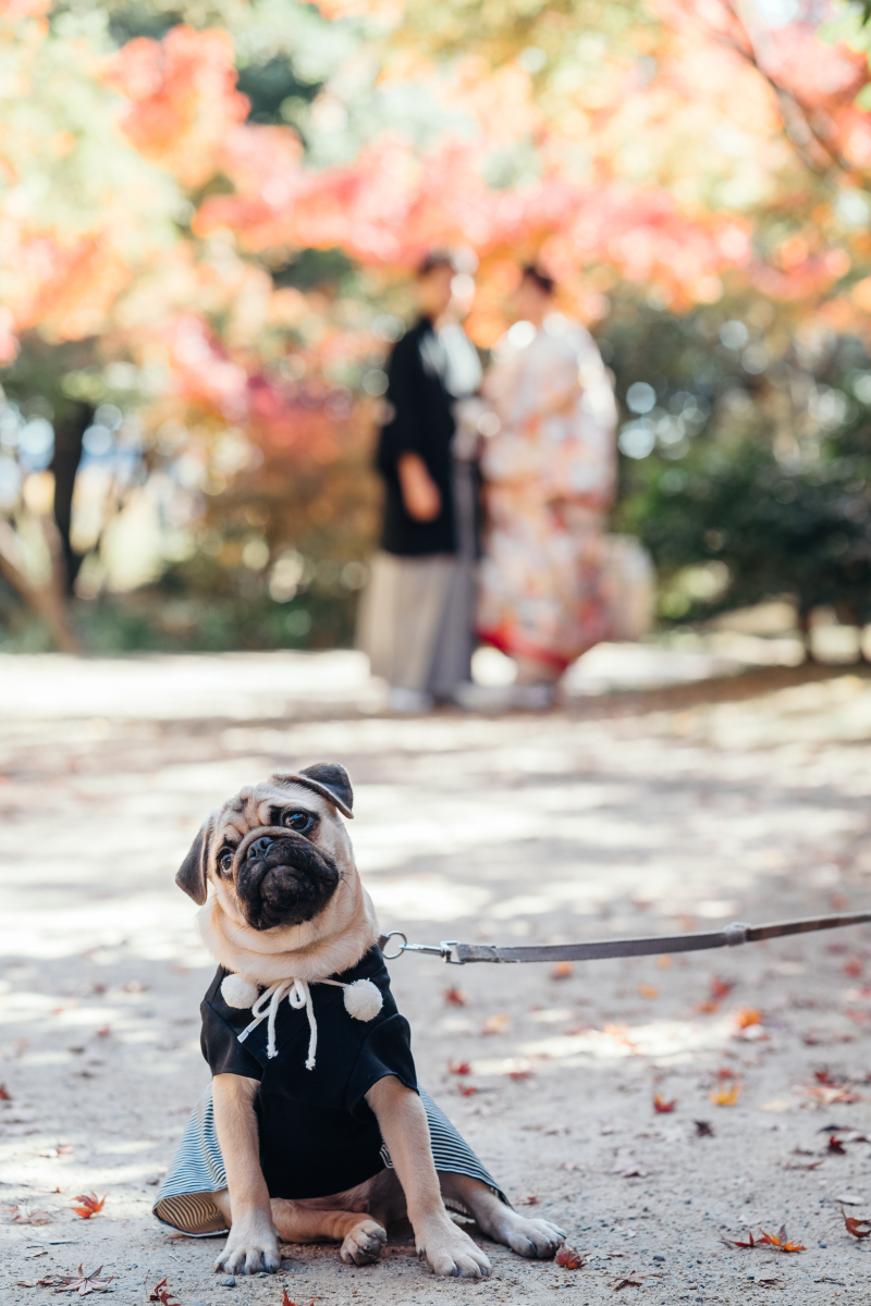 20以上ある撮影シーン