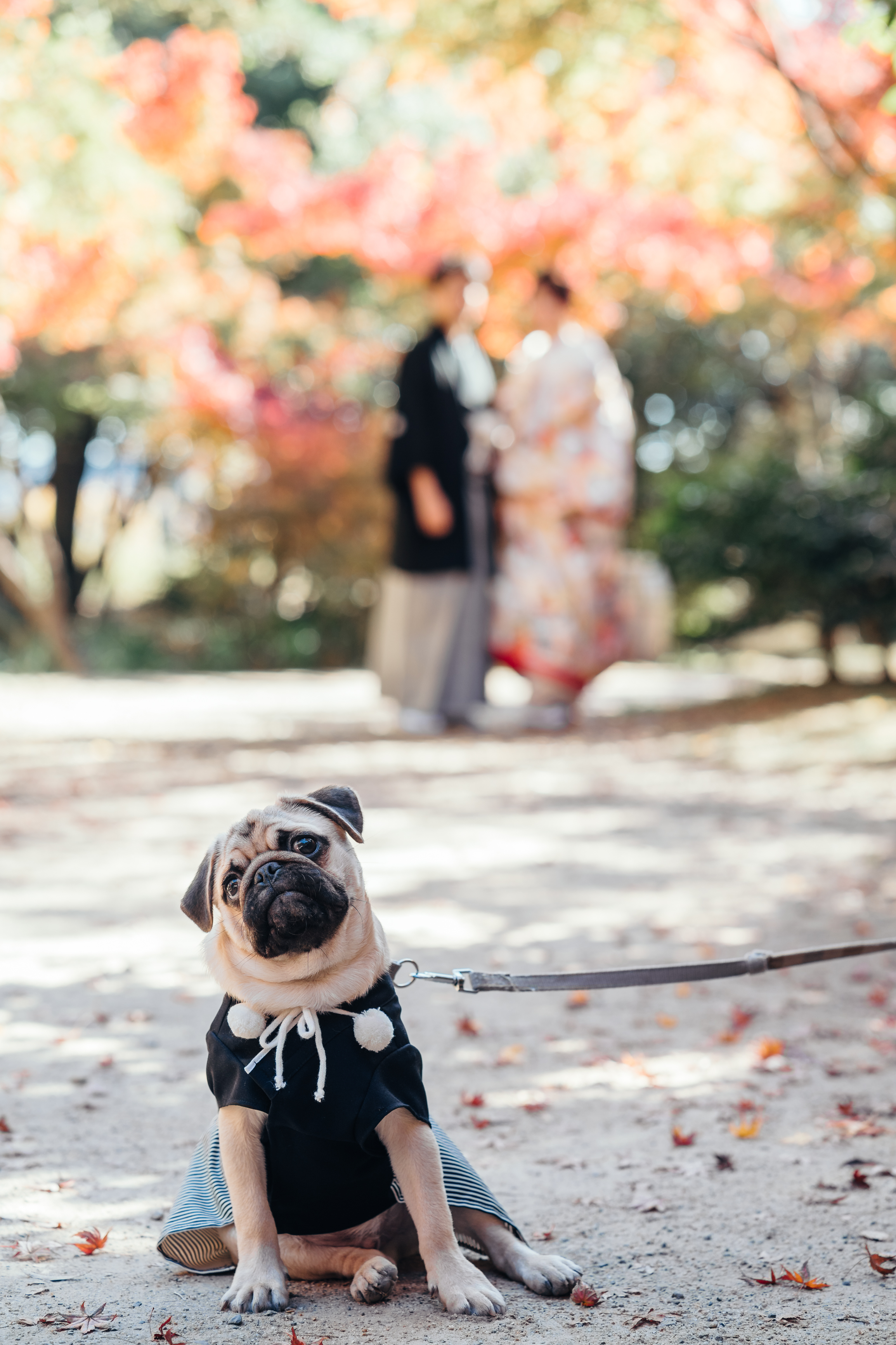 20以上ある撮影シーン
