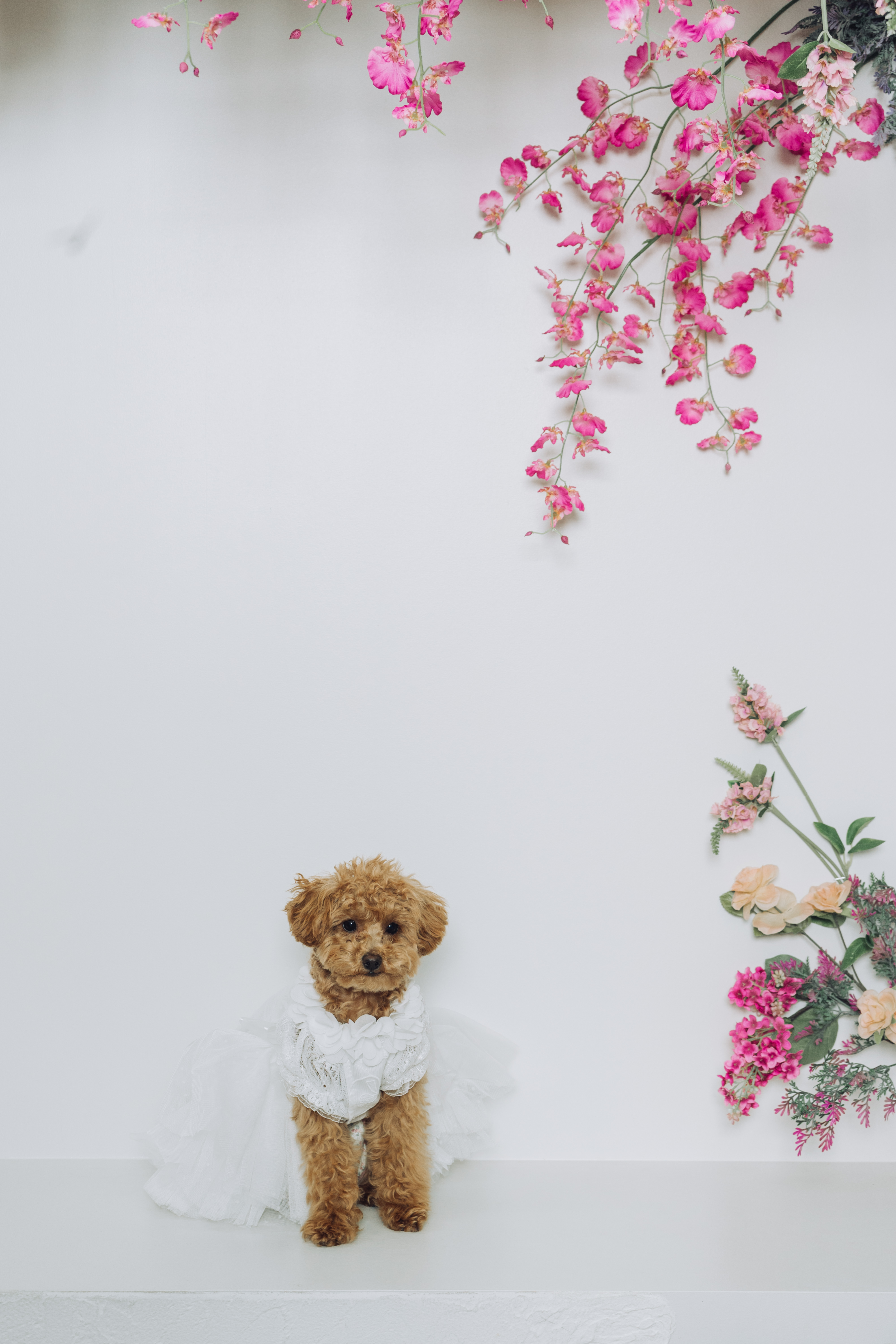 20以上ある撮影シーン