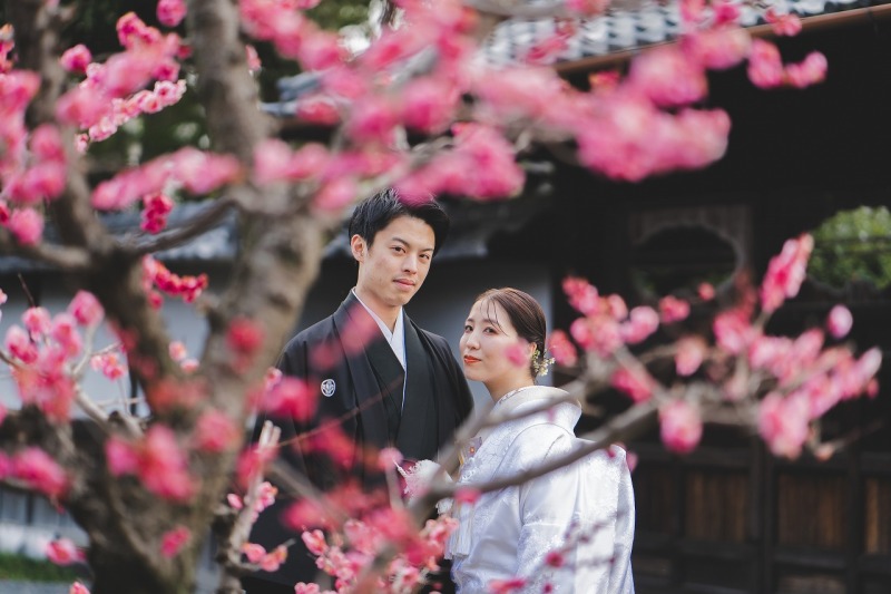 【2月3月】梅photoプラン《梅宮大社or渉成園》梅と一緒に和装フォトプラン!申請料金込み 和装1着 全データ付き