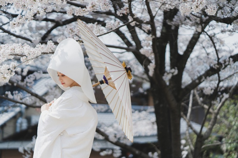 桜前撮り好評につき｜3/30～4/5　6日間限定　残り1枠｜￥88,000