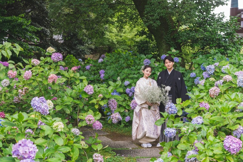 【6月7月撮影】紫陽花フォトプラン｜和装1着1ロケーション寺院申請料金付き｜寺院に咲く紫陽花と一緒に撮影ができる