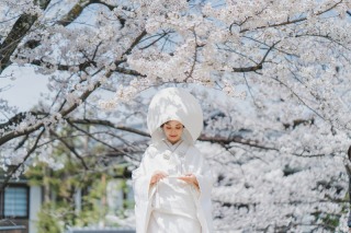 桜前撮り好評につき｜3/30～4/5　6日間限定　残り1枠｜￥88,000
